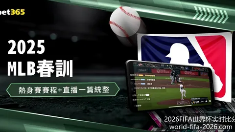 世界杯决赛门票炒，世界杯动态更新，至200万，球迷热议天价票